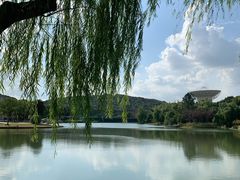 -上海佘山世茂艾美酒店