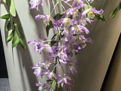 -北京植物园-展览温室