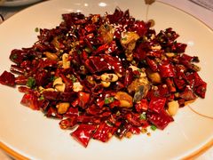 -蜀龙阁· 龍头水煮鱼(天坛店)