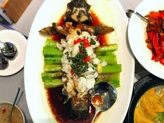 鲜花椒笋壳鱼-南景饭店(万家丽路店)