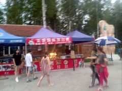 -峡谷浮石林景区