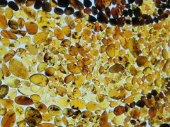 -湖南省地质博物馆