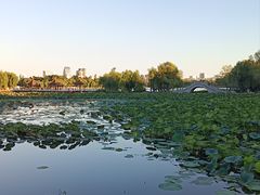 -长春市南湖公园