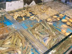 -魏铭鱼头捞饭(晋阳路店)