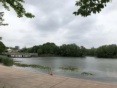 -新江湾城公园