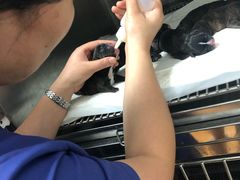 -北京观赏动物医院·24小时大型综合·猫专科·异宠专科
