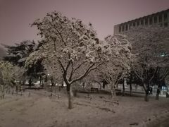 -东北大学(南湖校区)