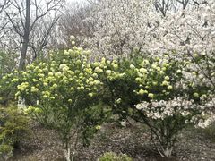 -羊山湖公园