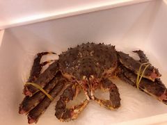 -盒马鲜生(莱蒙都会店)