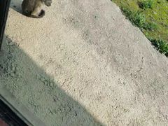 -杭州野生动物世界