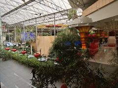 -北国之春国宴(乌兰察布店)