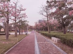 -芒洲湿地公园