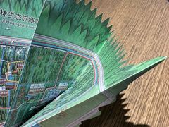 -黄海国家森林公园