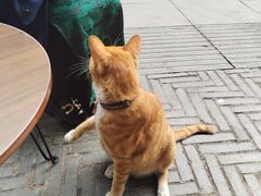 -清欢覔時