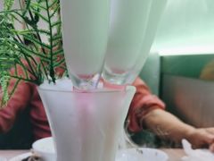 -探窝·竹笙椰子鸡(杨箕店)