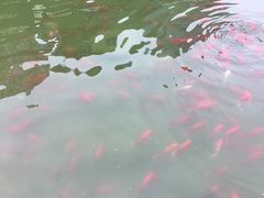 -西安曲江寒窑遗址公园