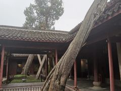 -太平天国侍王府