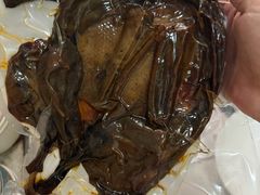 -金丹酱板鸭营业厅(紫缘路店)