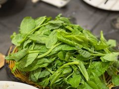 豌豆尖-钦善斋·养生膳食·精典川菜(武侯祠店)