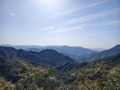 -大岭沟猕猴桃谷风景区