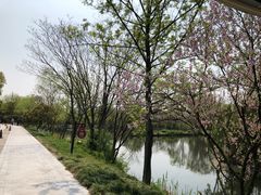 -西溪国家湿地公园