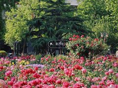 -睦南公园