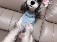 -FAELING PETS美天灵宠物(合生汇店)