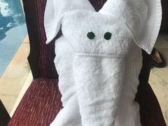 -三亚亚龙湾雅高铂尔曼别墅度假酒店