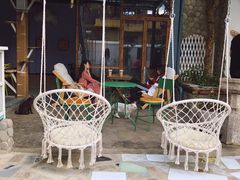 -喵屿·大理花园猫咖