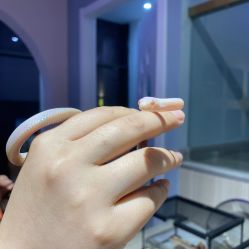 -Moni星球萌宠·小马宝莉·灵蛇·高端高阶全萌宠互动体验俱乐部(红豆国际广场店)