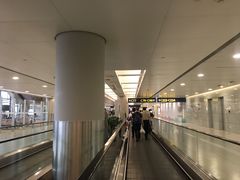 -上海浦东国际机场-T2航站楼