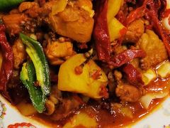 -巴依老爷新疆美食(清华东门店)