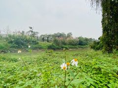 -白鹭湾湿地公园