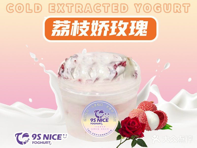 9S NICE | 冷萃酸奶真是让我挖到宝啦