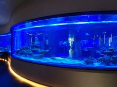 -上和臻品中国菜(花园街店)