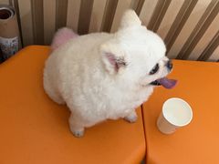 -海底捞火锅(万达广场店)
