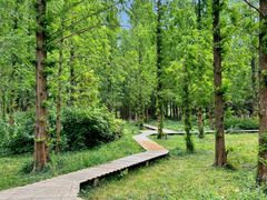 -国家植物园南园