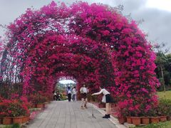 -东莞植物园