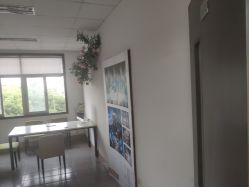 -忆江南婚礼策划(姑苏店)