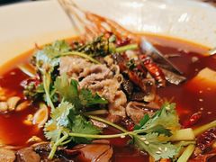 毛血旺-张生记(双菱店)