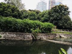 -成都市活水公园