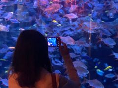 -成都浩海立方海洋公园