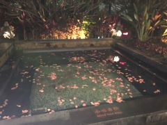 -厦门日月谷温泉渡假村