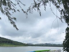 -羊山湖公园