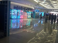 -上海浦东新区民办小白鸽幼儿园