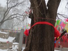 -封龙山风景区