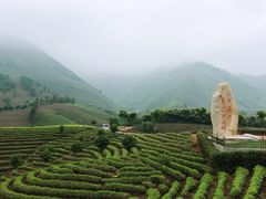 -帐篷客·溪龙茶谷度假酒店