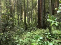 -红寺湖