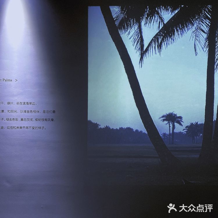 海口打卡| 免费看展！💙