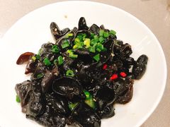 青川小木耳-辣螃铠盆盆蟹大排档(海昌店)